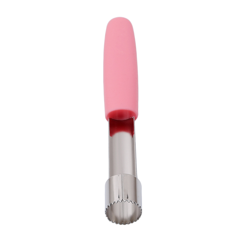 Fruit Apple Corer Stainless St - Apple Corer Slicer recension och pris